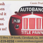 Auto Banc Cassie Pruitt white county