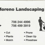 Moreno Landscaping White County Georgia