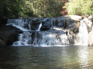 dicks creek chestatee wma