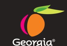 ‘Stranger Things’ Series Finale Coming to Theaters on New Year’s Eve