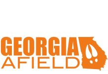 Georgia Bream Fishing Season & Patterns