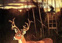 I Spent 5 Years Bowhunting One of the Biggest Nontypicals Ever. Then My Buddy Killed Him