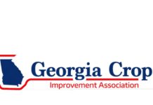 USDA Announces December 2025 Lending Rates for Agricultural Producers