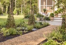 12 Easy Plants For A Kitchen Garden That Keeps On Giving