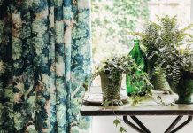 5 Easy Steps to Rescue Clearance Houseplants That Work Every Time