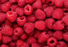 How To Store Raspberries To Avoid A Mushy Mess