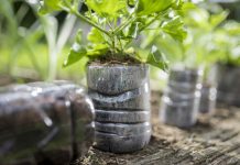5 Easy Ways To Give Old Plastic Bottles A Second Life In Your Garden