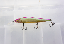 The Best Bass Lures: The Ultimate Guide to Every Type of Bass Bait