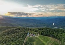 The Weekend Guide to Clarkesville