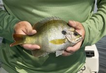 4 Affordable Summer Fishing Slams Anyone Can Do