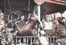 I Shot a Deer So Big I Genuinely Thought I’d Killed an Elk