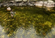Colorado’s Trout Fishing Forecast Is Grim After Minimal Snow Pack and Record Heat. These Are the Bright Spots