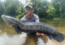 The Best Snakehead Lures: What You Need to Catch a Dragon