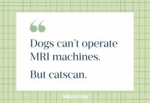 278 Dad Jokes That Will Make You Laugh