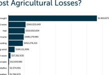 Study: Hall farms lose $379k per year to natural hazards