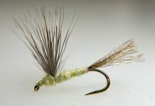 Quick Strike Podcast: 3 Simple Dry-Fly Tricks That Catch More Trout