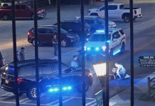 Video captures moment Helen police chief hits pedestrian with patrol vehicle