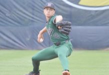 High school baseball playoffs: North Hall falls just short in quarterfinal loss to Troup