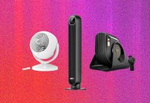 The 13 Best Fans to Buy Before It Gets Hot Again (2026)