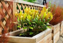 ALDI’s Clever Garden Planter is a Small-Space Hero That’s About to Transform the Awkward Corners of My Yard