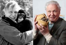 12 Photos of David Attenborough and His ‘Wild’ Friends