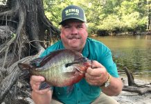 The Biggest Panfish of All Time