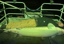 ‘A Bare Knuckles Fight.’ Fishing Buddies Wrestled This State-Record Sturgeon into Their Boat