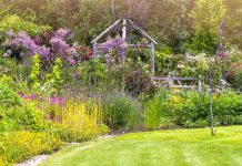 Plants Struggling in May? Here’s What’s Going Wrong, And How to Fix It