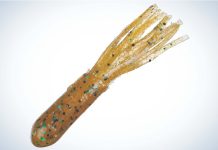 How to Catch Big Trout on Soft Plastics