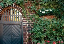 Some Plant Ties Can Damage Climbers – Here Are the Best Types to Use Instead