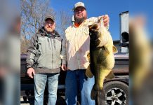‘Now That’s a Fish.’ This Largemouth Bass Was Just Declared the New Tennessee Record