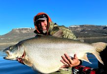 These 6 Monsters Are the Biggest Fish Ever Caught — At Least On Record